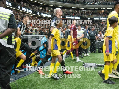 Detalhes da foto #6997856