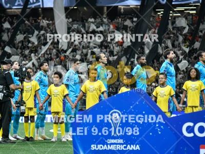 Detalhes da foto #4790444