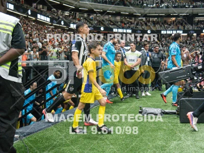 Detalhes da foto #3928937