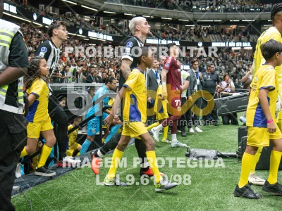 Detalhes da foto #7418615