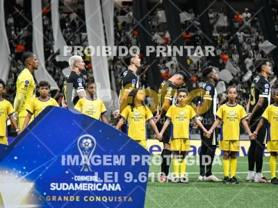 Detalhes da foto #7523291