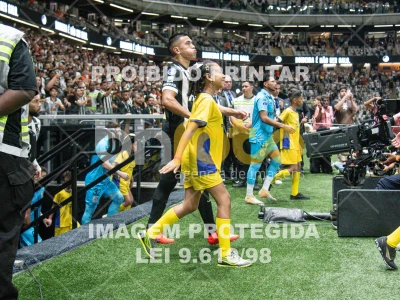 Detalhes da foto #8663745
