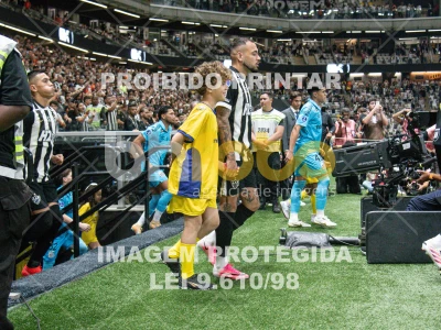 Detalhes da foto #4552745