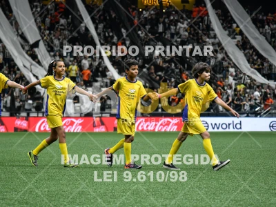 Detalhes da foto #4239901