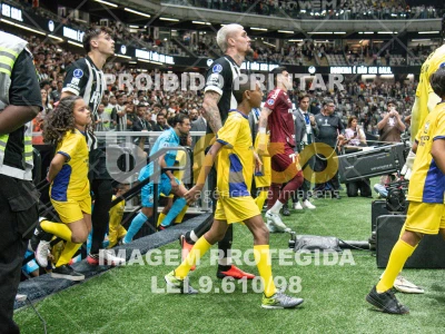 Detalhes da foto #6817245