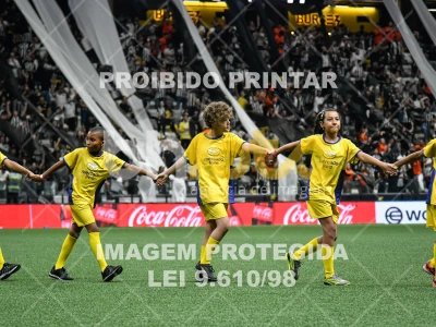 Detalhes da foto #3598158