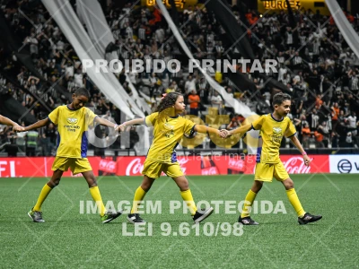 Detalhes da foto #1090539