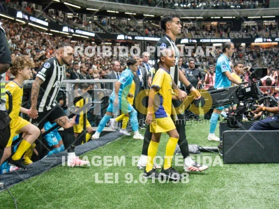 Detalhes da foto #5066014