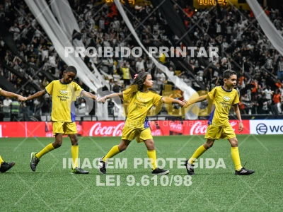 Detalhes da foto #4408950
