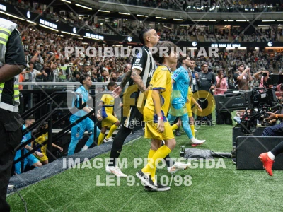 Detalhes da foto #8986992