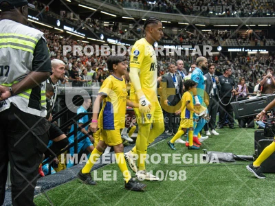 Detalhes da foto #9657704