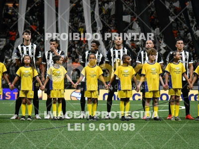 Detalhes da foto #2530402