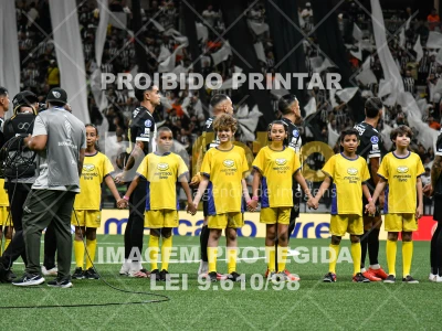 Detalhes da foto #6566232