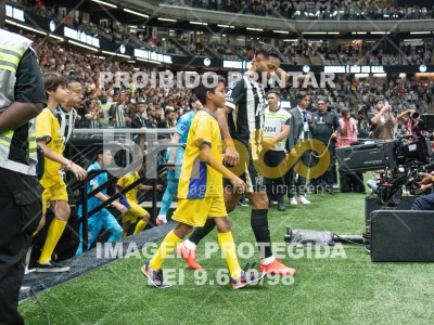 Detalhes da foto #3239410