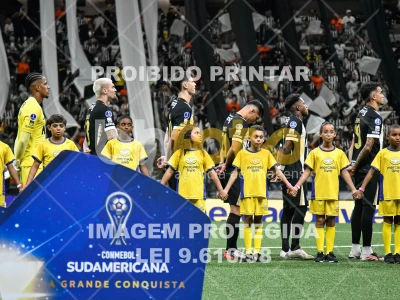 Detalhes da foto #4494535