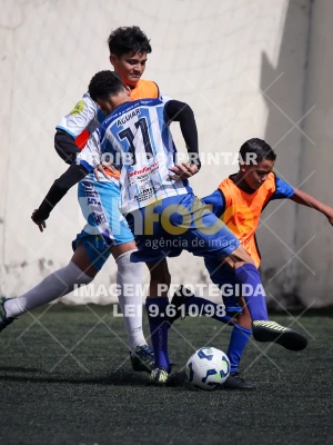 Detalhes da foto #7882521