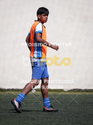 Detalhes da foto #6388672