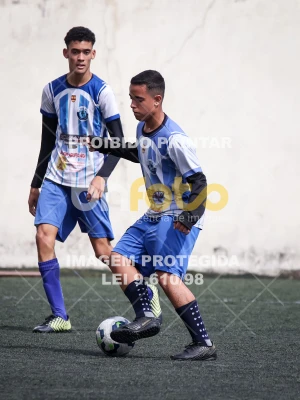 Detalhes da foto #2604143