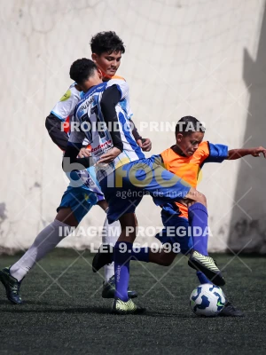 Detalhes da foto #9965317