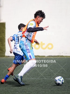 Detalhes da foto #2159453