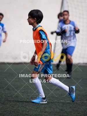 Detalhes da foto #3856722