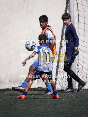 Detalhes da foto #2975425