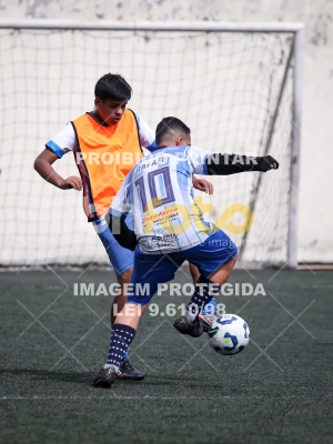 Detalhes da foto #2368044