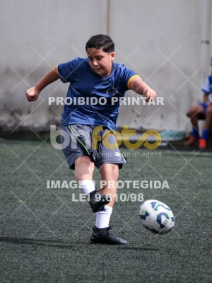 Detalhes da foto #6522042