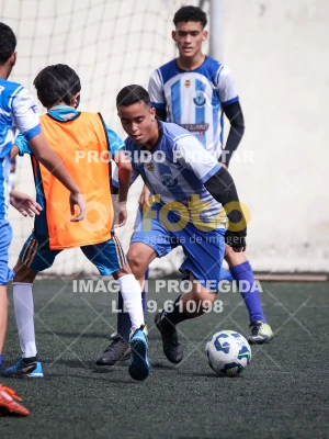Detalhes da foto #2171223
