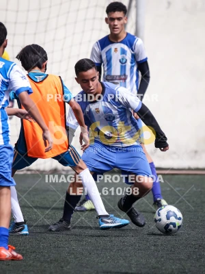 Detalhes da foto #7369400
