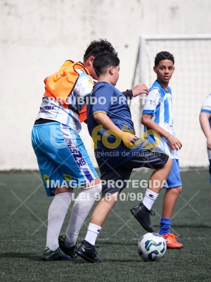 Detalhes da foto #4633863