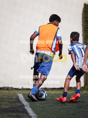 Detalhes da foto #2447714