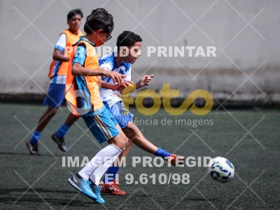 Detalhes da foto #7783569