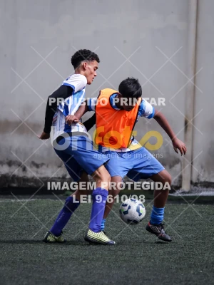Detalhes da foto #7234174