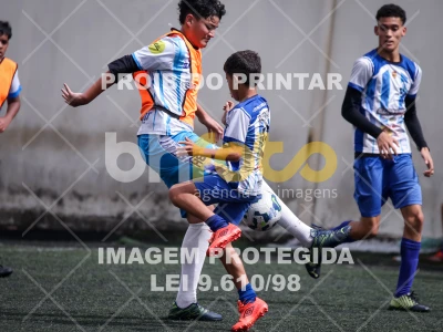 Detalhes da foto #6610584