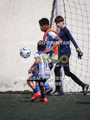 Detalhes da foto #1961902