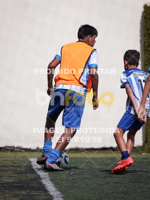Detalhes da foto #6761603