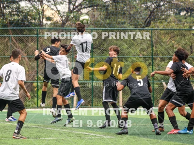 Detalhes da foto #6378696