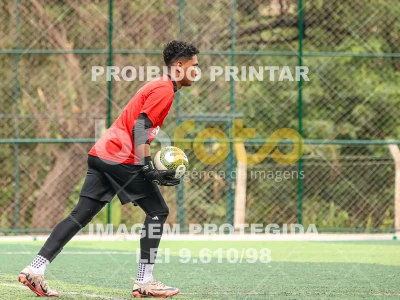 Detalhes da foto #3353797