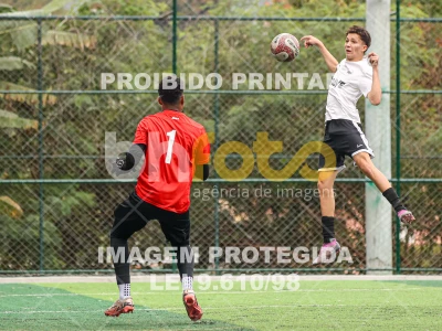 Detalhes da foto #8003206
