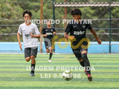 Detalhes da foto #4584438