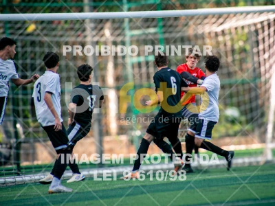 Detalhes da foto #7833466