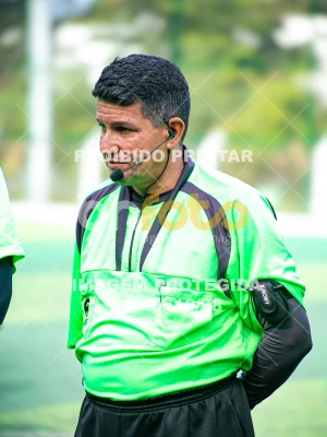 Detalhes da foto #3611402