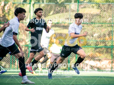 Detalhes da foto #4467478