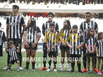 Detalhes da foto #1361503