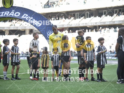 Detalhes da foto #4553482