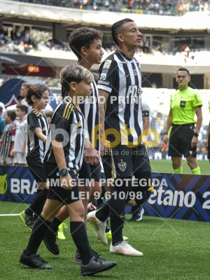 Detalhes da foto #1708033