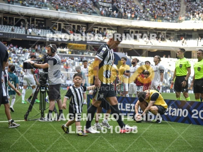 Detalhes da foto #6747648
