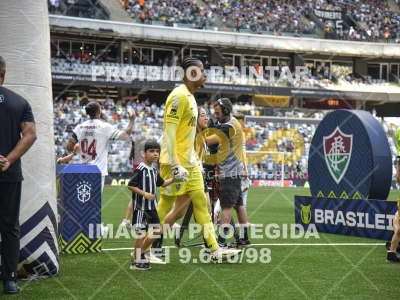 Detalhes da foto #9992495