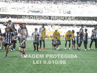 Detalhes da foto #7684171
